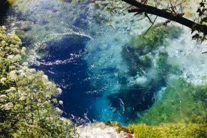 blue eye saranda 3
