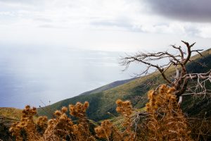 llogara pass albania 4