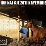 FOTOT/ Ndryshimet në qeveri, rrjetet sociale rekord memesh komike që nga Rama, Braçe, Basha… 10 k19 2