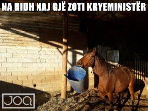 k19 2