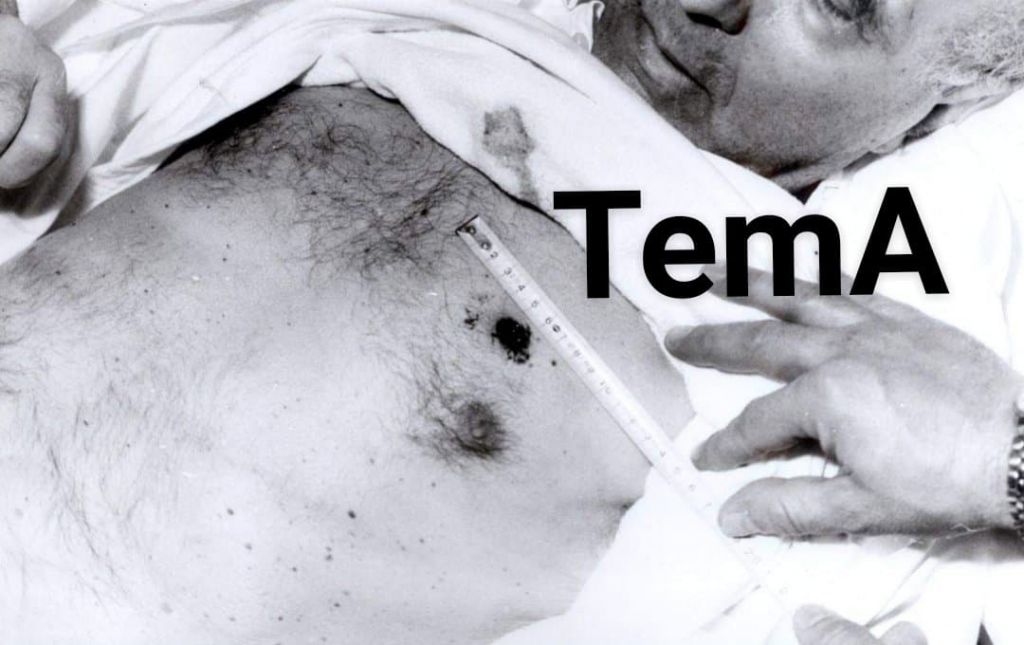 mehmet shehu 6