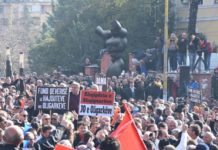 protesta 20 shkurt
