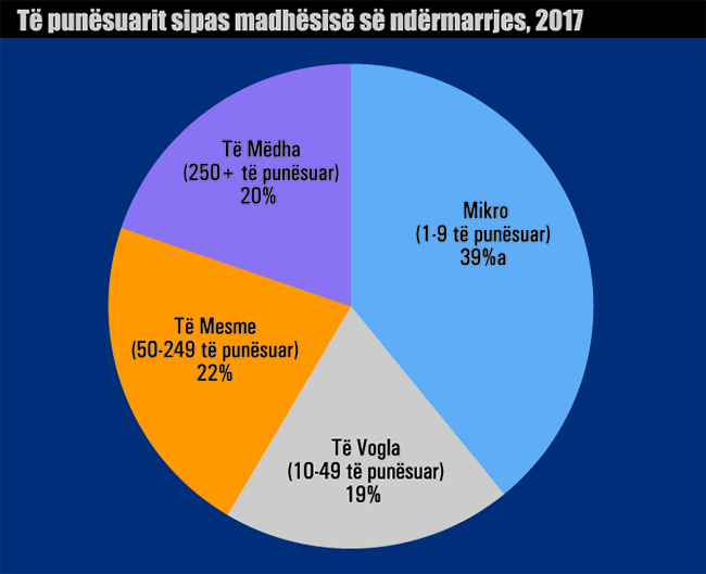 Te punesuarit sipas madhesise se ndermarrjes 2017 869
