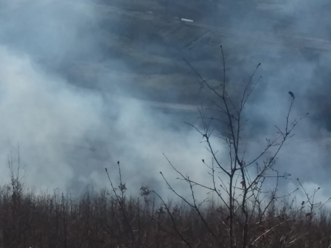 Video / Përfshihen nga zjarret 10 hektarë pyje në Mat b3f04881 e535 4c55 9607 40ae0a9a6beb