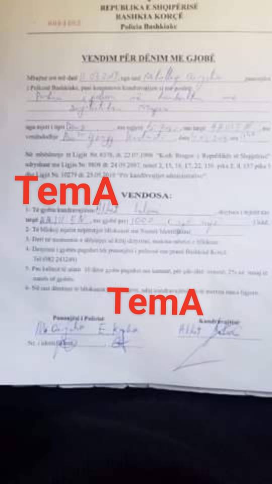 basha gjob