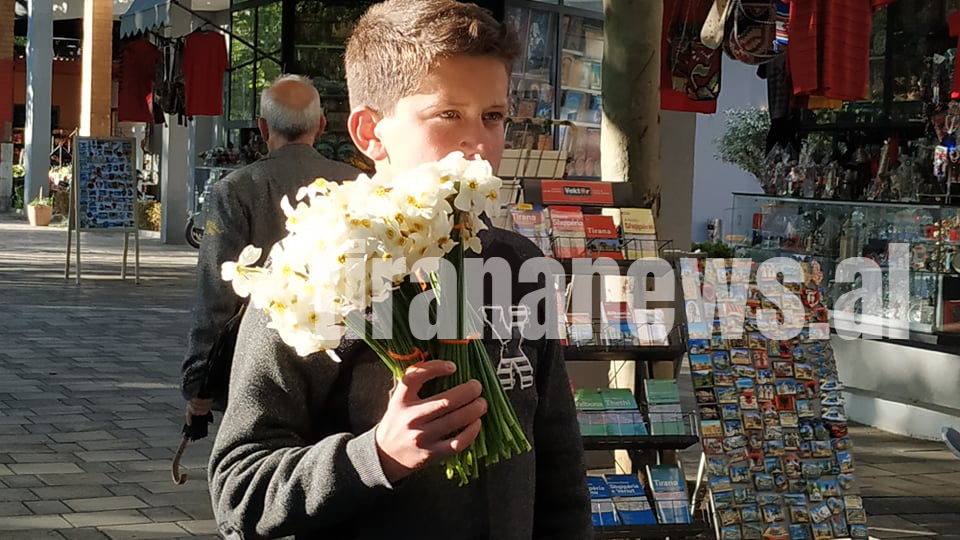 "Shitësi i vogël i luleve" nga Zall Bastari që udhëton drejt Tiranës duke shitur për të mbijetuar 5 042be0d3 cc15 4242 88d0 099f223e78af