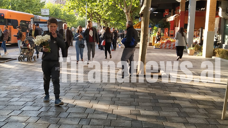 "Shitësi i vogël i luleve" nga Zall Bastari që udhëton drejt Tiranës duke shitur për të mbijetuar 3 36eda976 6d8e 4254 ab4a 08b85778a3c3