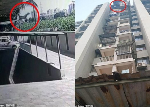 Shkodër, ndërron jetë 2-vjeçari i cili ra nga kati i 6-të i pallatit pallat