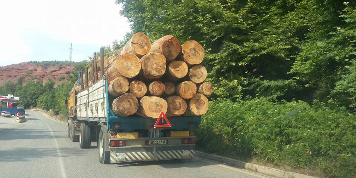 Bulqizë/ Makina e ngarkuar me dru del nga rruga, vdes shoferi Makine me dru
