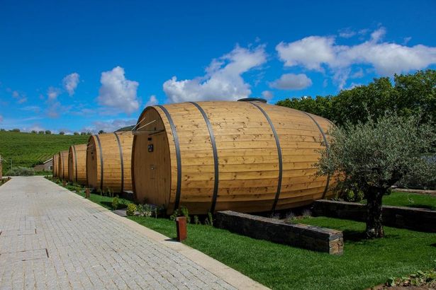 Të lë pa fjalë/ Hotel apo kantinë vere? (FOTO) 1 vere3