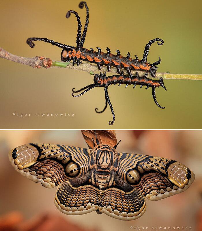 foto meraviglie mondo 01