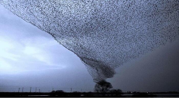 foto meraviglie mondo 22 1