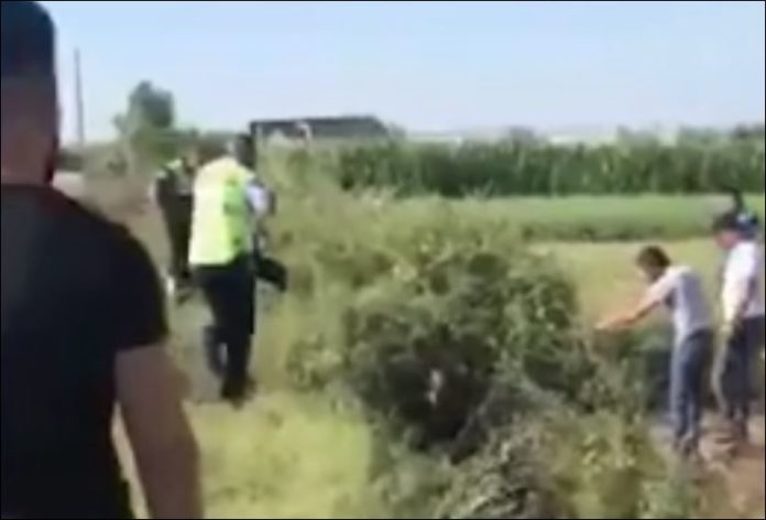 VIDEO/ “Hajdutët ishin kthyer në makth”, banorët bëhen bashkë dhe kapin vlonjatët hajdute