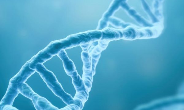 Zbulohet origjina e homoseksualitetit ADN 1