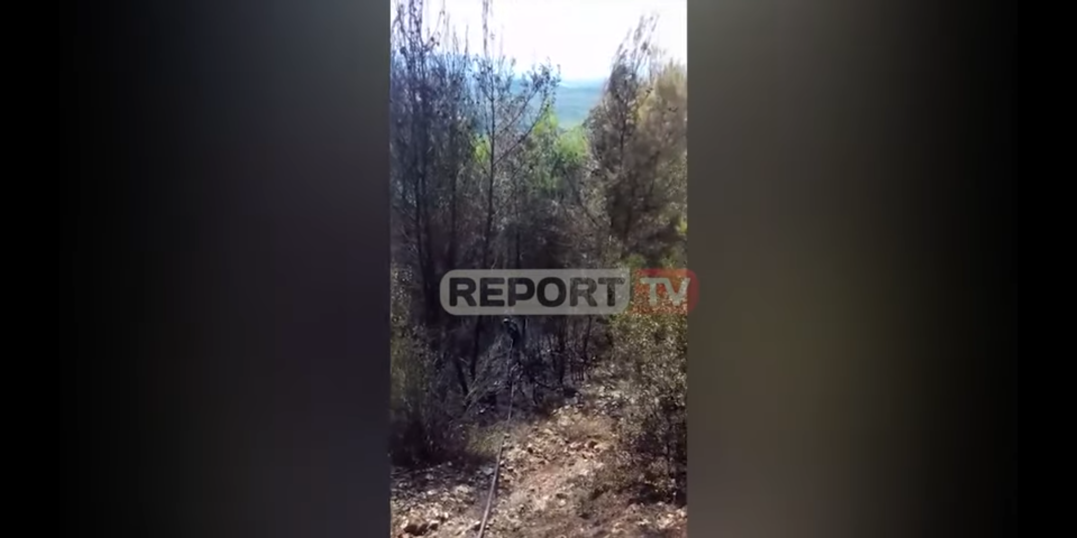 Flakët përfshijnë sërish pyjet e Krujës, dyshohen të qëllimshme 3 Screenshot 20190826 164728