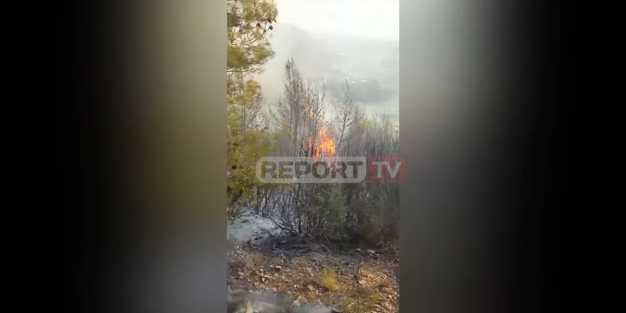 Flakët përfshijnë sërish pyjet e Krujës, dyshohen të qëllimshme 2 Screenshot 20190826 164735