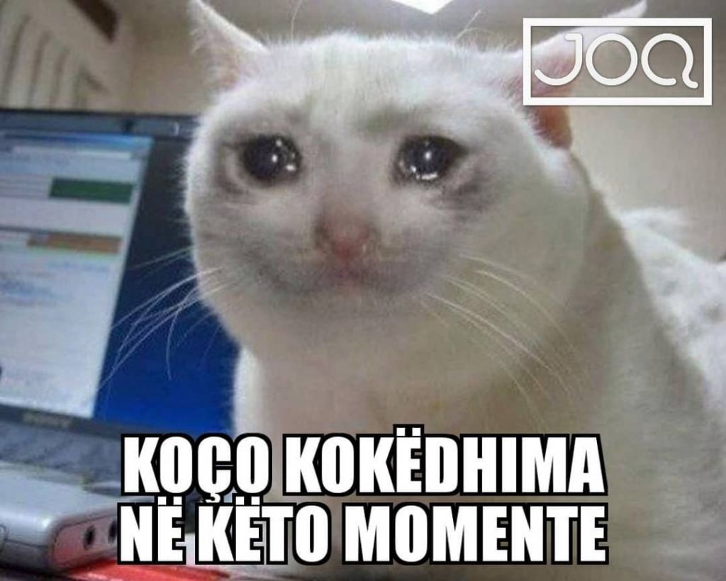 Plas gallata në rrjet me pronarin që sulmoi spanjollët, “ju lutem prisni, harruat kuponin tatimor” 3 mihali 14
