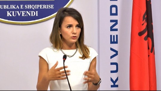 Hajdari: Do ta votojmë Reformën Zgjedhore edhe pa konsensusin e PD-LSI 1561734333 rudinahajdari 1