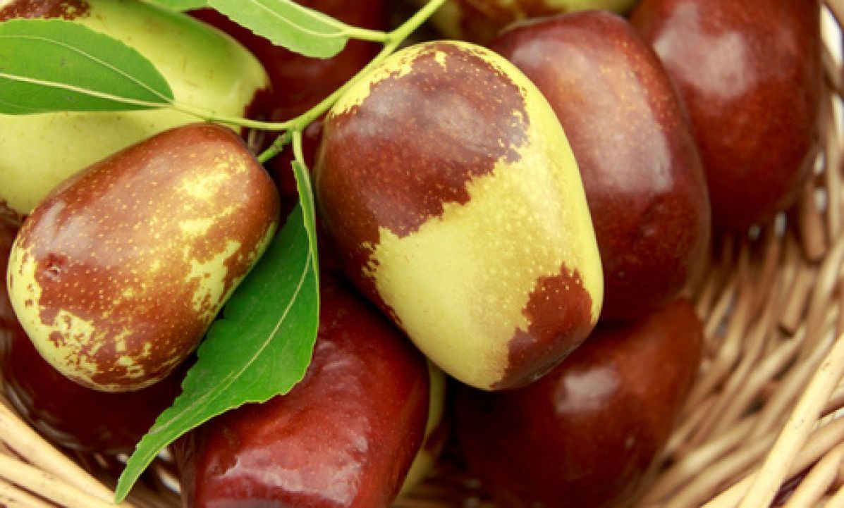 Hidet, fruti magjik i vjeshtës hide