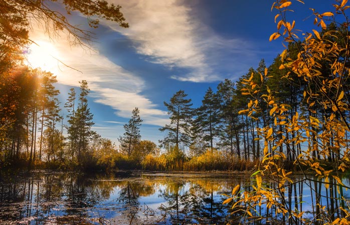 shutterstock 328474187 Novosibirsk russia autumn ob river