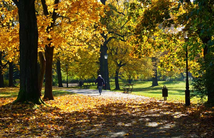 shutterstock 753482308 lodz autumn in the park