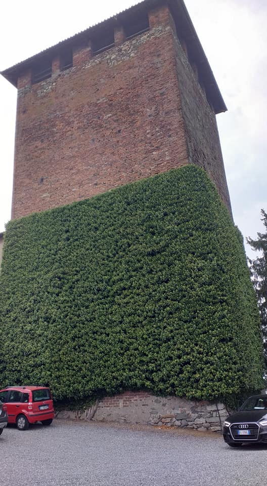 71962681 10161422359833504 5833827393524989952 n