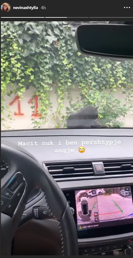 “Kush të ka mësuar t’i japësh makinës ty goce”, Nevina Shtyllës i ndodh e papritura në automjetin saj 2 Nevina Shtylla 3