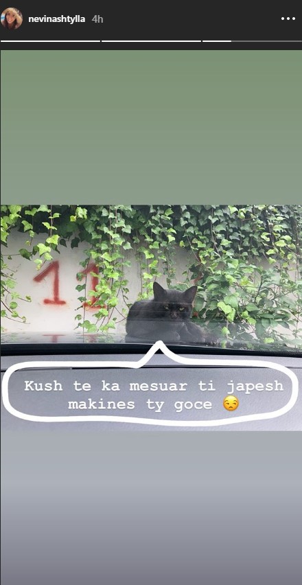 “Kush të ka mësuar t’i japësh makinës ty goce”, Nevina Shtyllës i ndodh e papritura në automjetin saj 3 Nevina shtylla 4