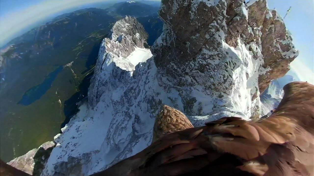 Spektakël në horizontin blu, "filmuar" nga shqiponja e maleve 5 maxresdefault 4
