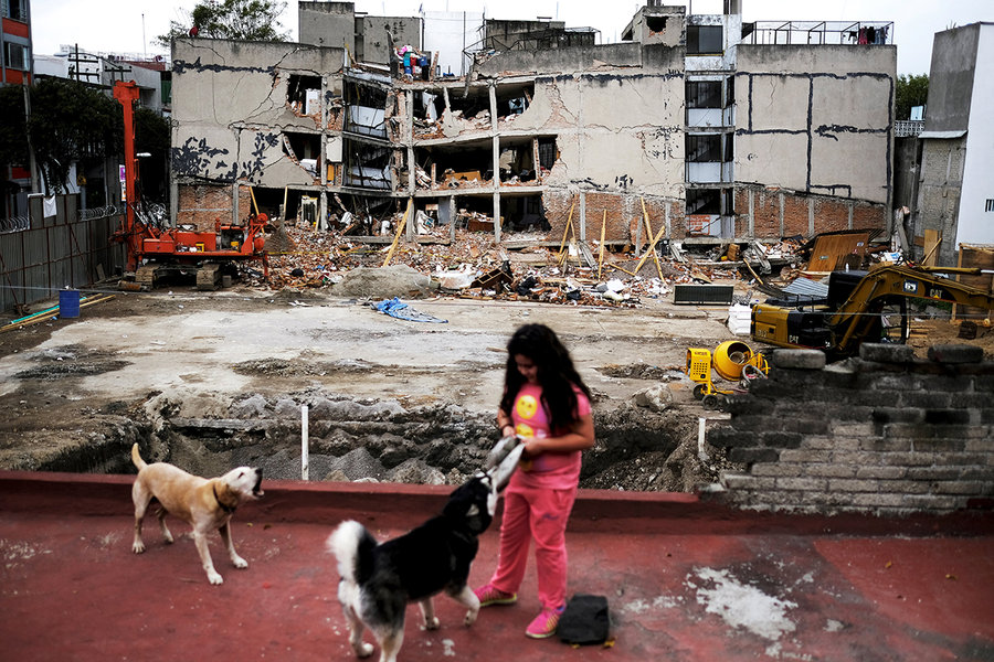 Si t’i ndihmoni fëmijët emocionalisht pas një tërmeti 1002 DDP quake dogs