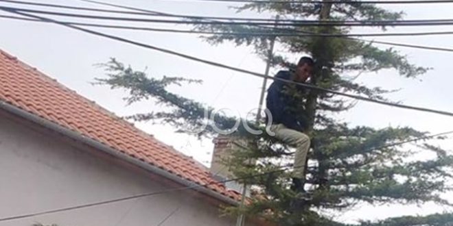 Pogradec/ Frikë nga policia? Refugjati nga Siria hipën në pemë dhe… 75210503 191533845227345 8849535908963825227 n