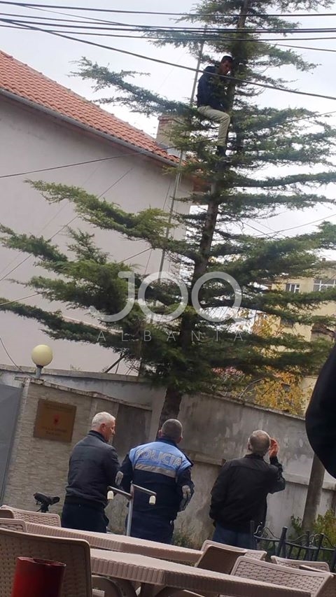 Pogradec/ Frikë nga policia? Refugjati nga Siria hipën në pemë dhe... 1 75210503 191533845227345 8849535908963825227 n Copy