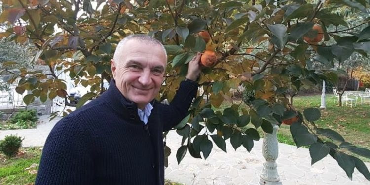 Meta lë debatin për “Kushtetuesen” në Tiranë dhe promovon hurmat e Elbasanit 1 Meta 5
