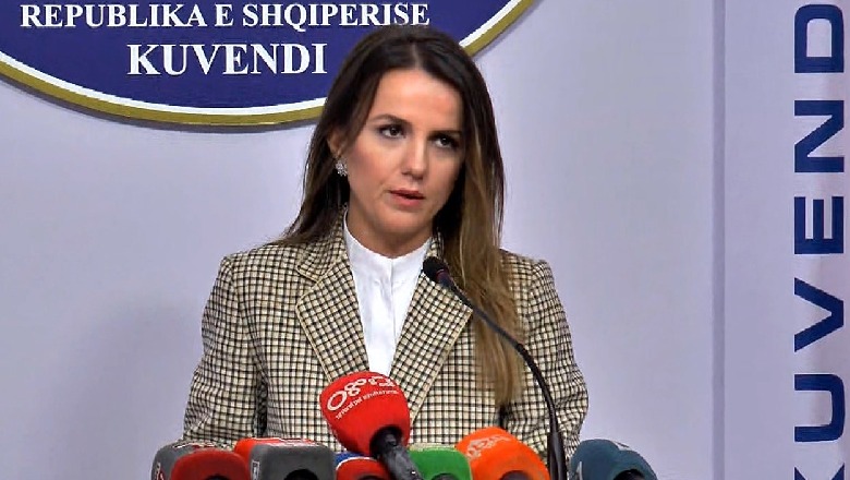 Paketa ‘anti-shpifje’/ Hajdari thirrje Ramës: Të tërhiqet nga ky ligj, model i ‘Ramizimit të Shqipërisë’ 1576496448 HAJDARI