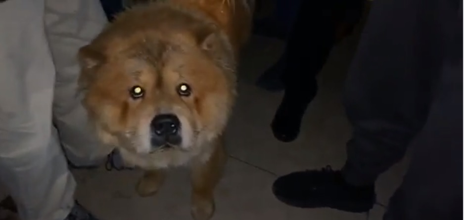 Kiko u shpëtoi jetën por nuk i pranojnë në hotel, qëndrojnë jashtë. Rama i dërgon vetë në hotelin tjetër 22222222222222