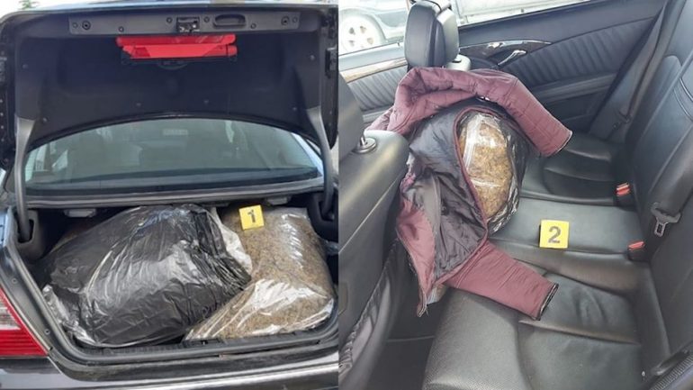 Lezhë/ Sekuestrohen 52 kg drogë, arrestohen dy të rinj 80532090 2619499201669768 7762331287829872640 o