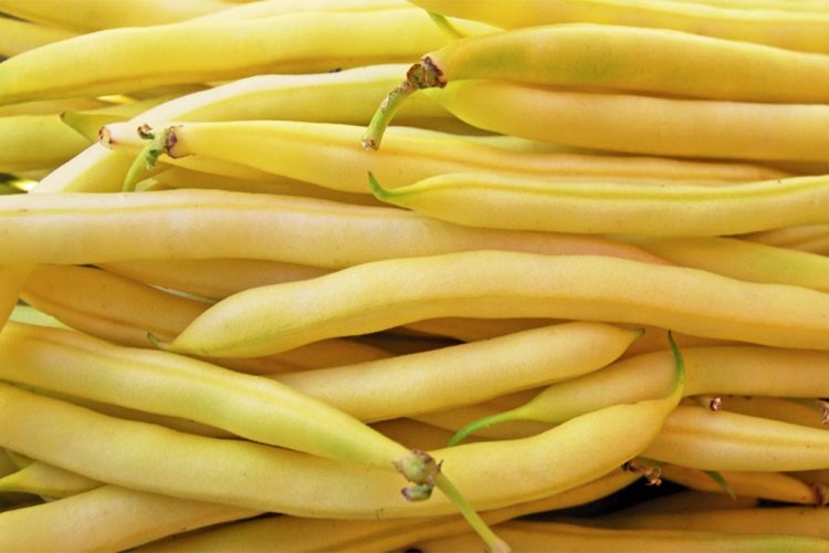 Një arsye e fortë përse duhet të konsumoni më shumë mashurka Mashurka