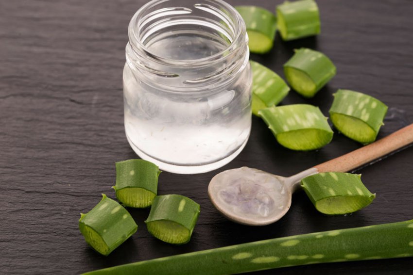 Mësoni ta bëni vetë në shtëpi lëngun e aloe verës, pijes me shumë përfitime shëndetësore aloevera