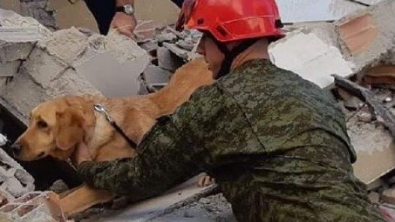 Meta dekoron qenin e ekipit të shpëtimit të Kosovës 1 qeni