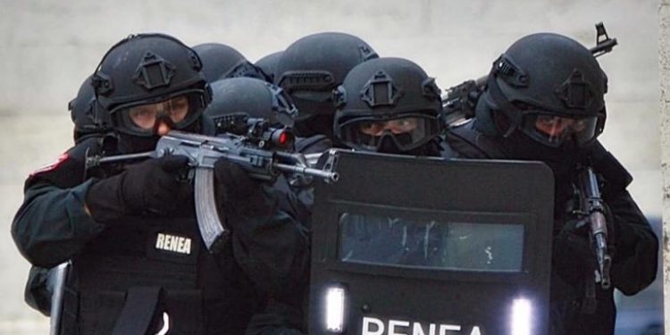 RENEA zbarkon në Shkodër për arrestimin e personave me rekorde kriminale rena