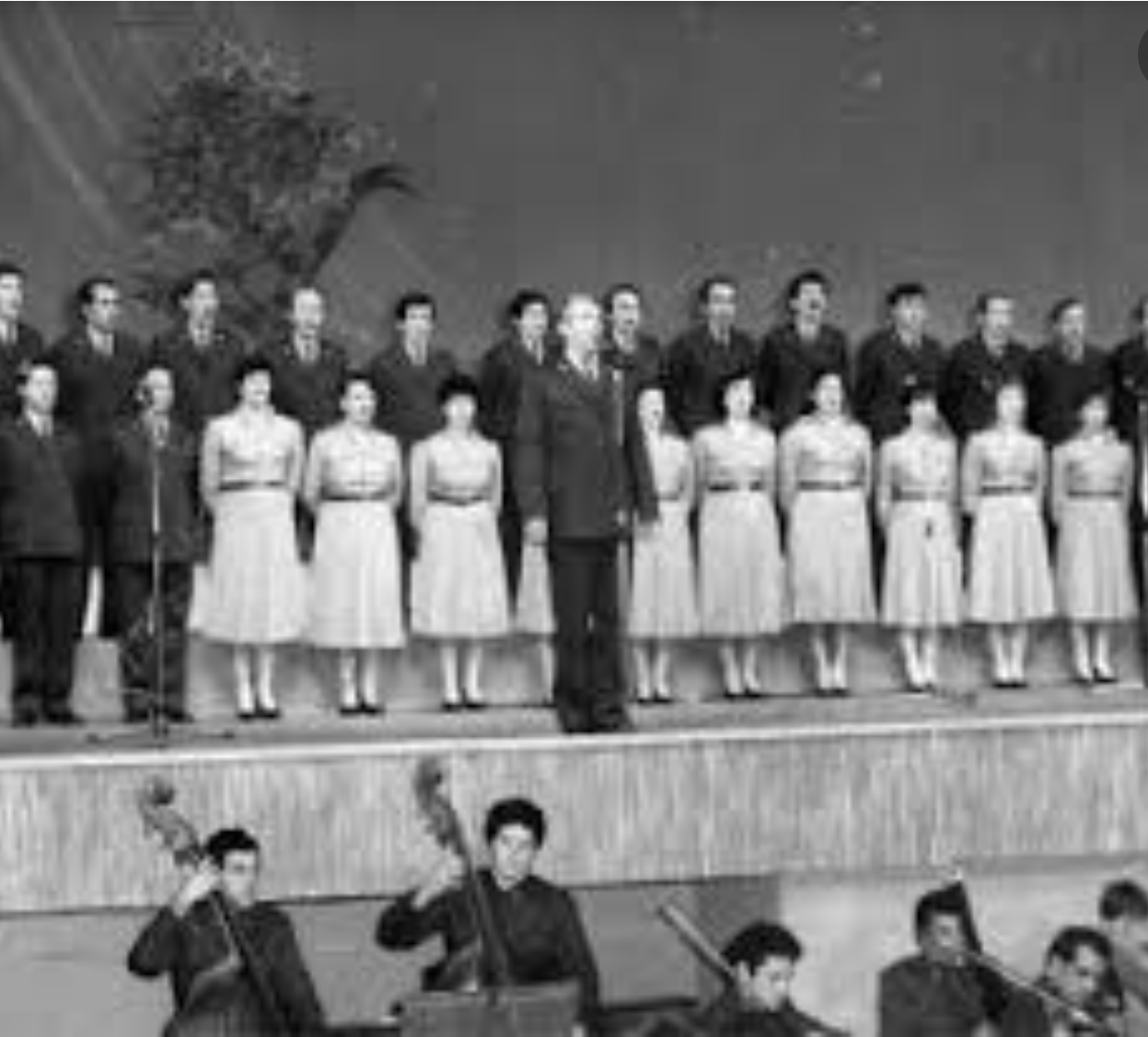 Fotot/ Kur Enver Hoxha dhuronte vajguri dhe bënte aheng për “vëllezërit vietnamezë” 1 20200110 010744 1