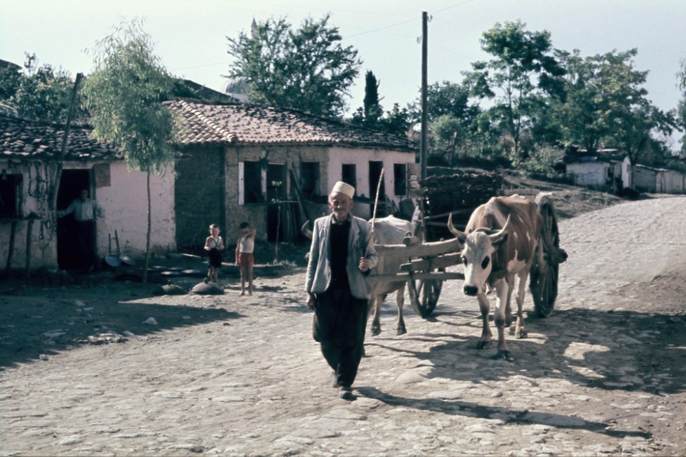 Koleksioni “shqiptar” i Fiedler 2 nje fshatar ne kavaje