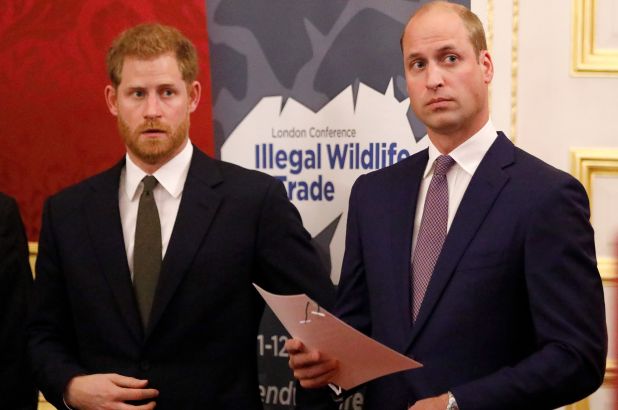 Mbretëresha i tregon Harry-t ç’ka humbur, e “godet” përmes vëllait të tij 1 william harry