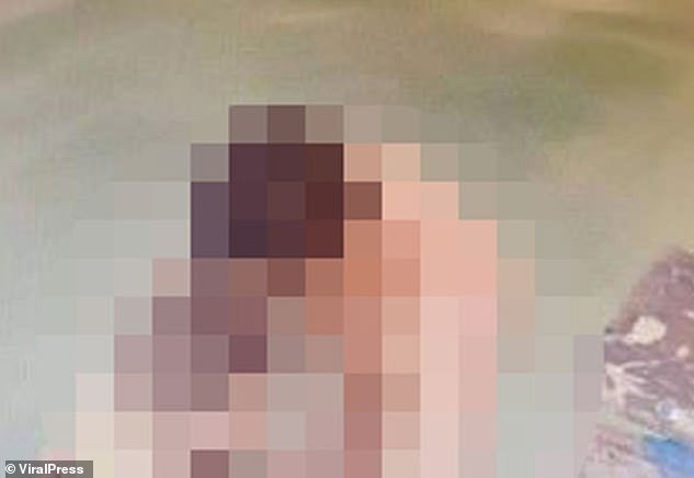 Policia i kap duke kryer marrëdhënie seksuale në plazh publik, dy të rinjtë as që duan t’ja dinë 3 3 7