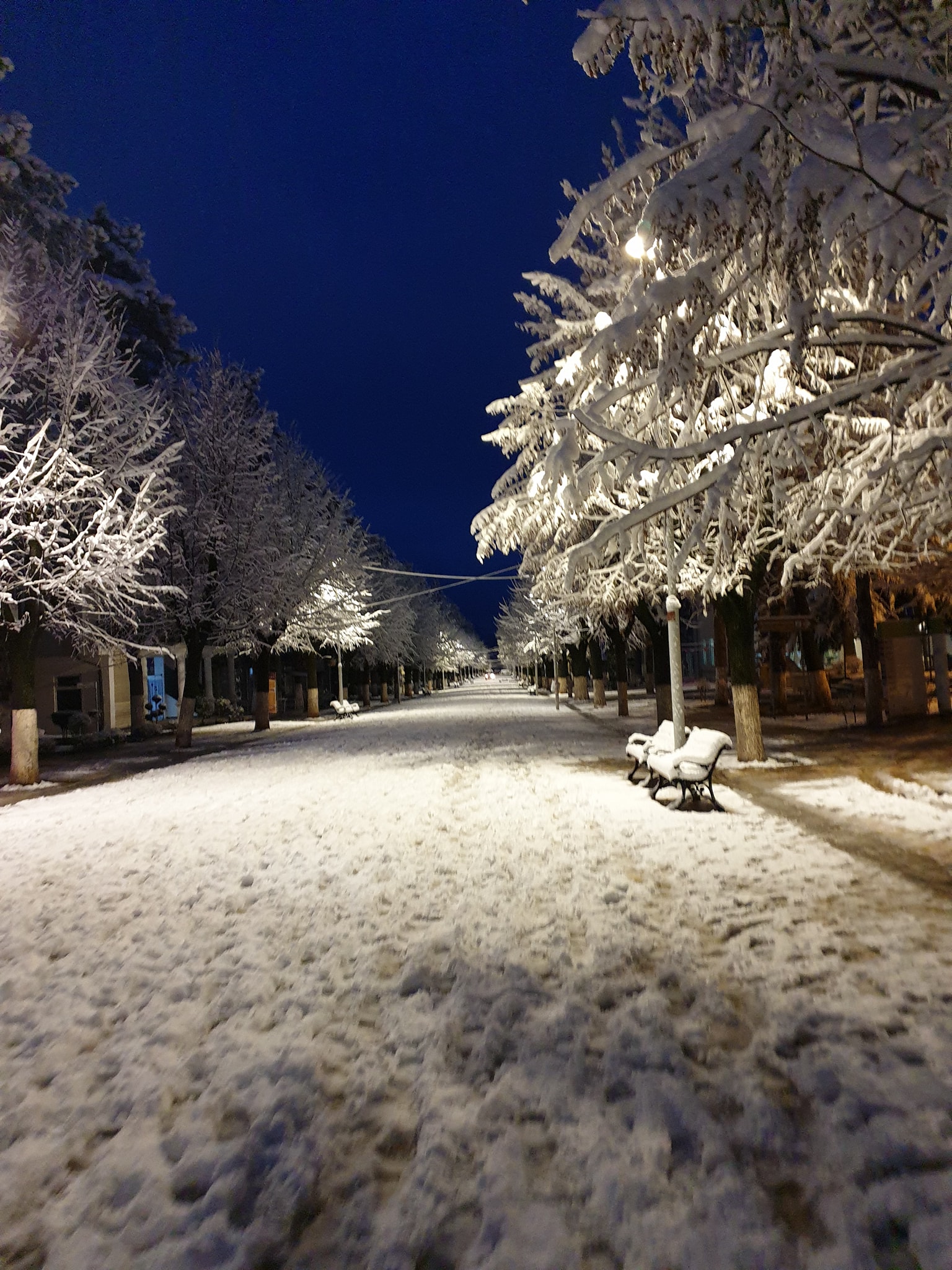 Veriu nën “mbretërinë” e dëborës (Foto) 4 84336398 10157878928392317 323653333673836544 o