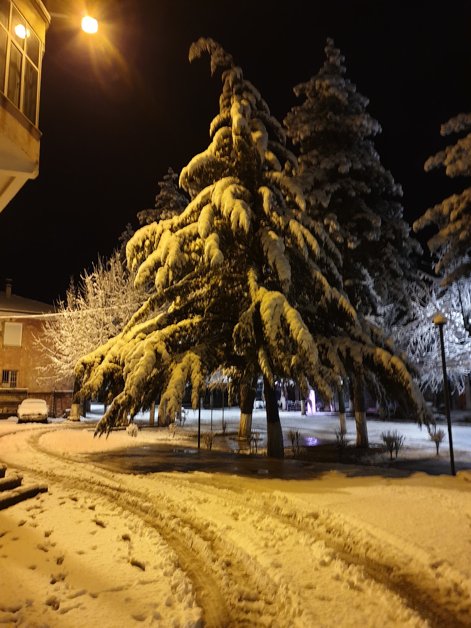 Veriu nën “mbretërinë” e dëborës (Foto) 5 84357693 10157878767857317 9051625636241604608 o