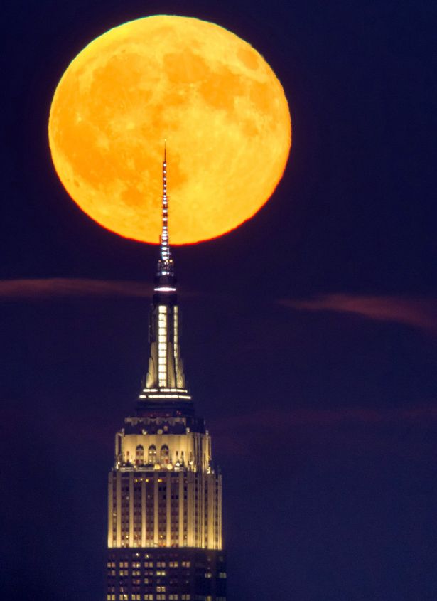 'Superhëna' shfaqet në New York, ja fotot spektakolare 11 PAY The Full sturgeon moon 18th August 2016 crossing the spire of the Empire State Building