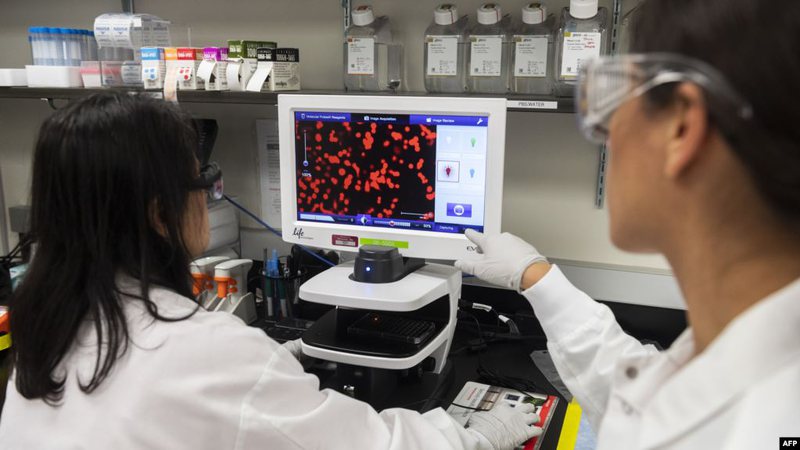Si po bëhet trajtimi i të infektuarve me koronavirus? ‘Zëri i Amerikës’: Ja çfarë thonë ekspertët 800 0 5e7fc17ce9b41