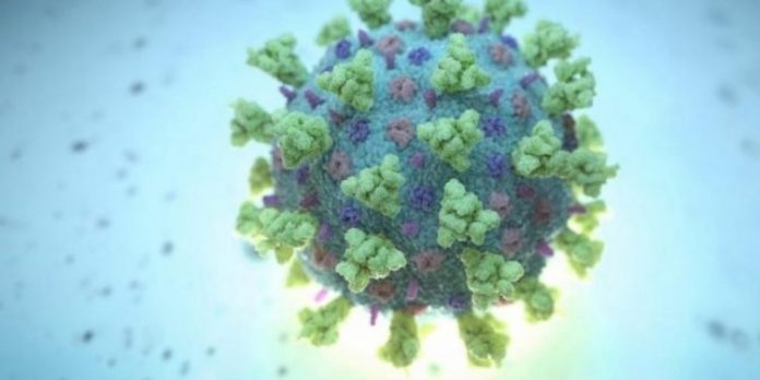 Një histori e shkurtër e pandemive me të cilat është përballur njerëzimi virus 24 750x375 1 696x348 1