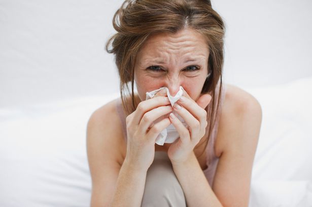 Si të dallojmë nëse teshtima është alergji apo Covid-19? 0 Sick woman in bed blowing nose